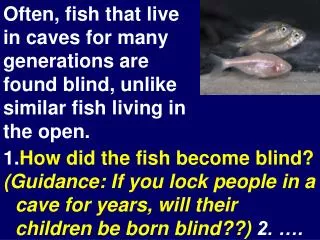 1. How did the fish become blind?