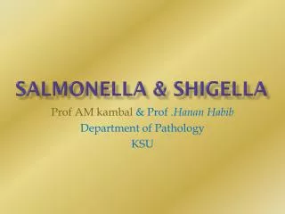Salmonella &amp; shigella