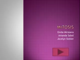 mitosis