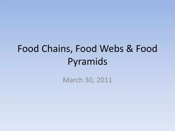 food chains food webs food pyramids