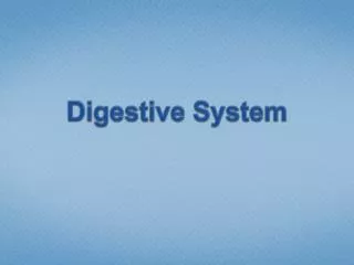 Digestive System