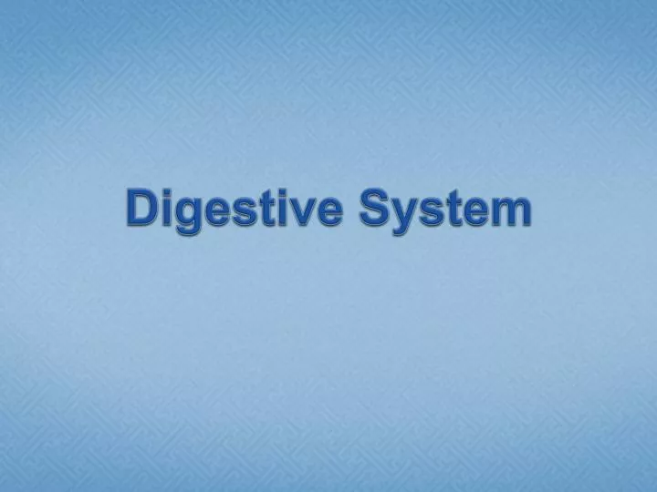 digestive system