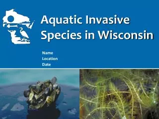Aquatic Invasive Species in Wisconsin
