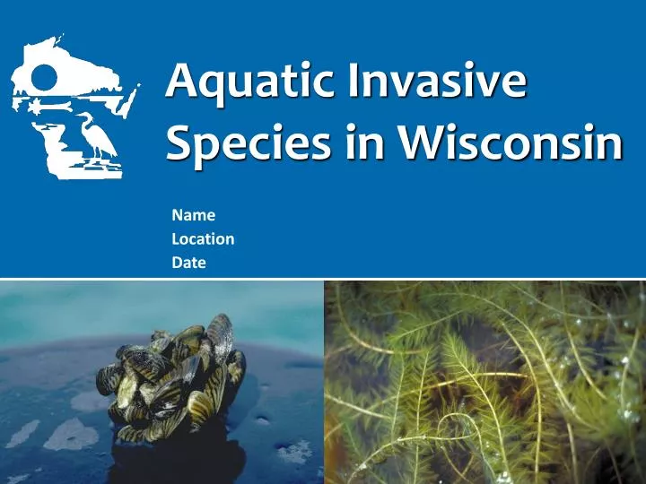 aquatic invasive species in wisconsin