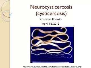 Neurocysticercosis ( cysticercosis )