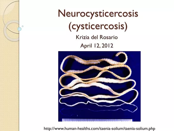 neurocysticercosis cysticercosis