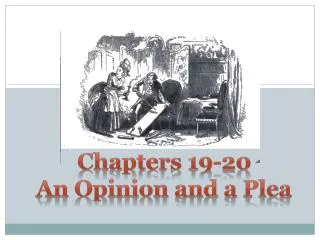 Chapters 19-20 An Opinion and a Plea