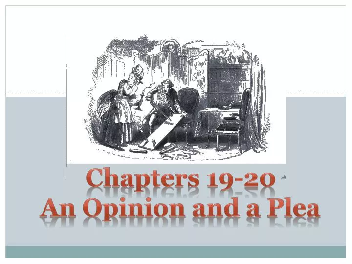 chapters 19 20 an opinion and a plea