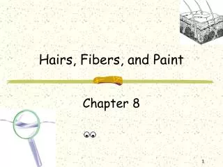 Hairs, Fibers, and Paint