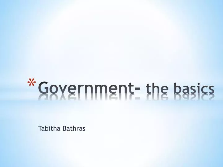 government the basics