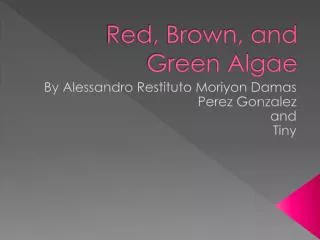 Red, Brown, and Green Algae