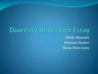 Diversity Reflection Essay