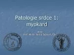 Patologie srdce 1: myokard - slide 1