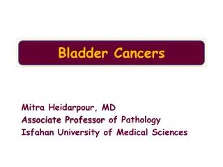 Bladder Cancers