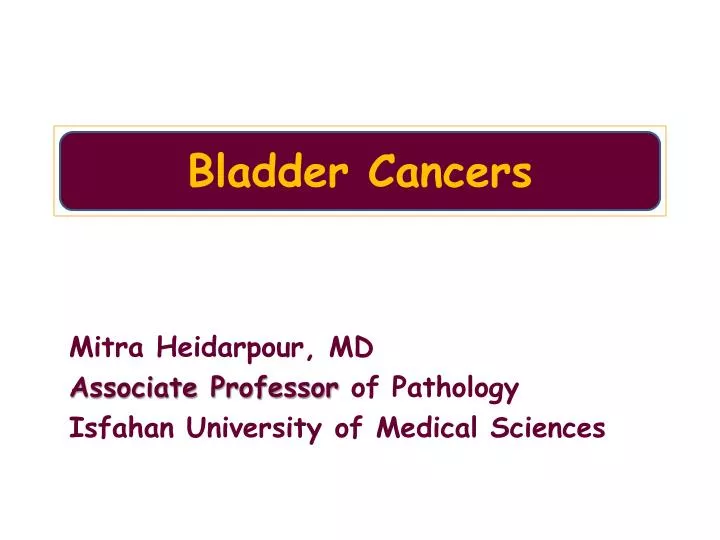 bladder cancers