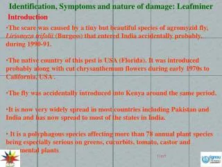 Identification, Symptoms and nature of damage: Leafminer