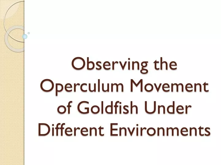 observing the operculum movement of goldfish under different environments