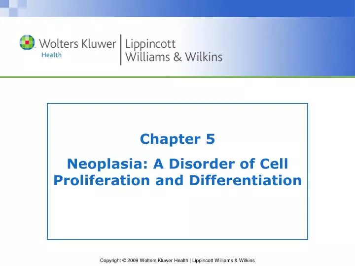 chapter 5 neoplasia a disorder of cell proliferation and differentiation
