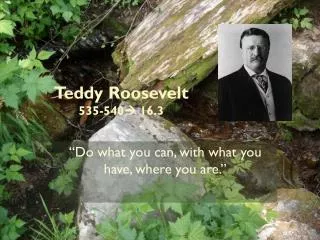 Teddy Roosevelt 535-540 ? 16.3