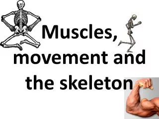 Muscles, movement and the skeleton