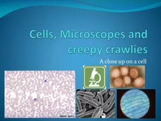 Cells, Microscopes and creepy crawlies