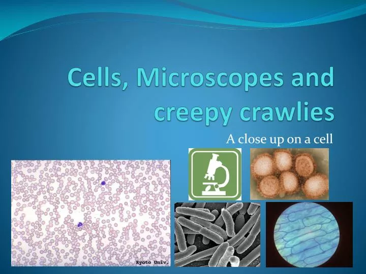 cells microscopes and creepy crawlies