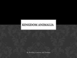 Kingdom Animalia