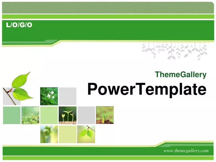 themegallery powertemplate