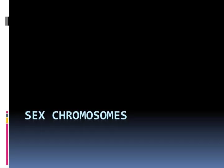 Ppt Sex Chromosomes Powerpoint Presentation Free Download Id 3063835