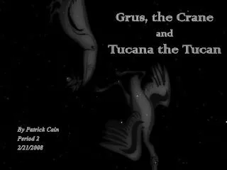 Grus, the Crane and Tucana the Tucan