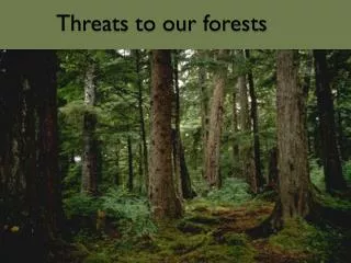 Threats to our forests