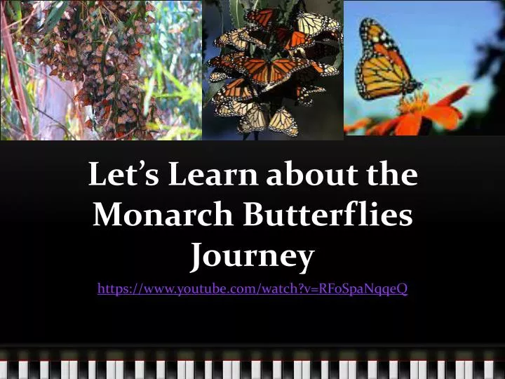 let s learn about the monarch butterflies journey