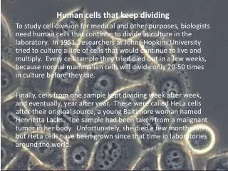 Human cells that keep dividing