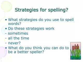 Strategies for spelling?