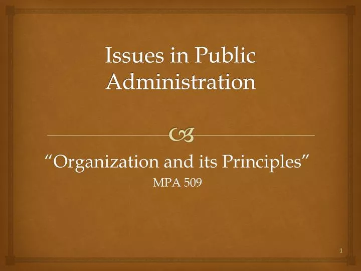 issues in public administration