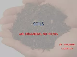 soils
