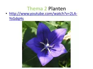 thema 2 planten