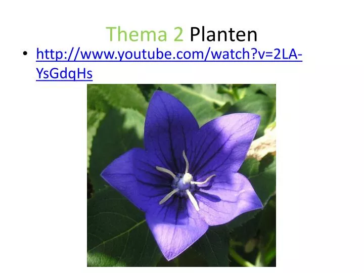 thema 2 planten
