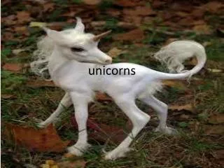 unicorns