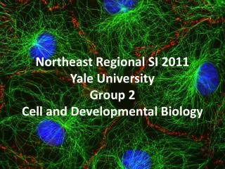 Northeast Regional SI 2011 Yale University Group 2 Cell and Developmental Biology