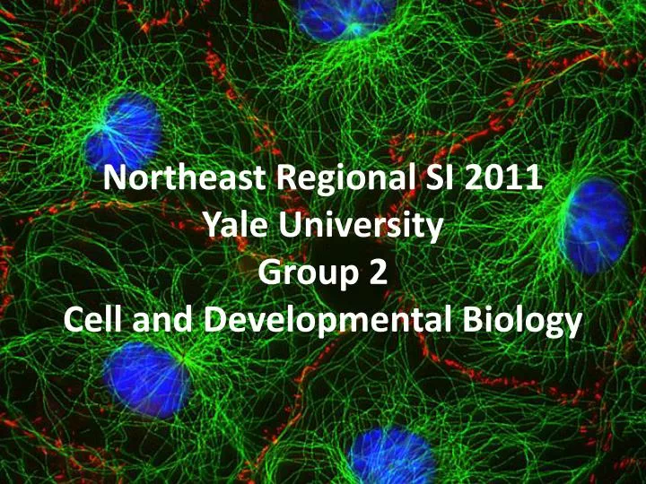 northeast regional si 2011 yale university group 2 cell and developmental biology