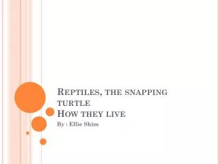 Reptiles, the snapping turtle How they live