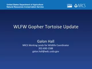 WLFW Gopher Tortoise Update