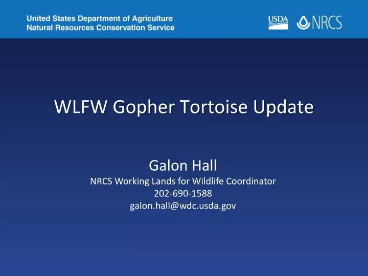 wlfw gopher tortoise update