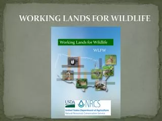 WORKING LANDS FOR WILDLIFE