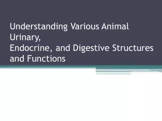 Understanding Various Animal Urinary, Endocrine, and Digestive Structures and Functions
