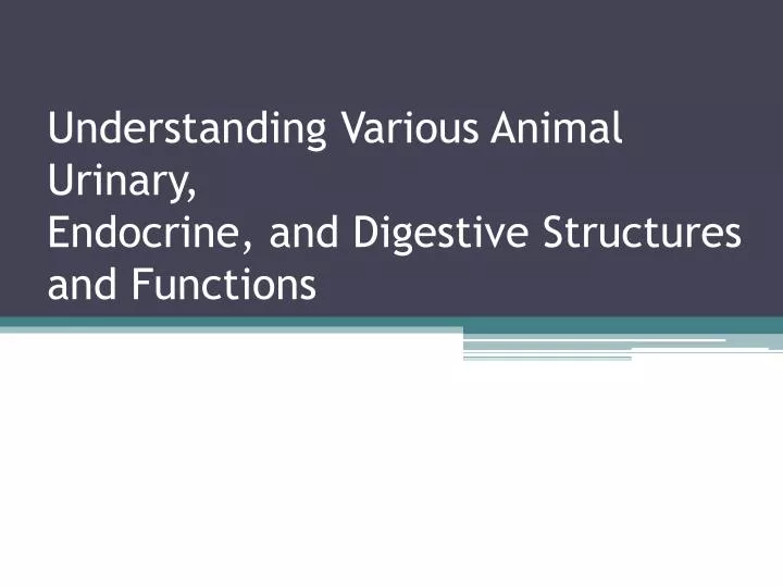understanding various animal urinary endocrine and digestive structures and functions