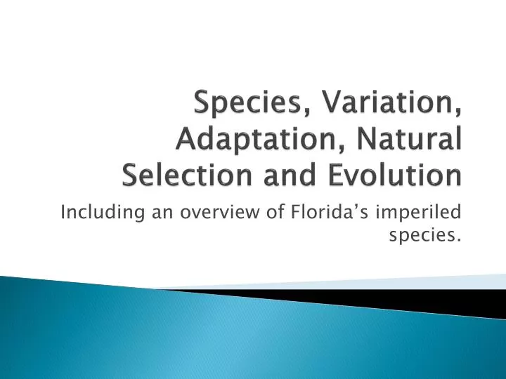 species variation adaptation natural selection and evolution