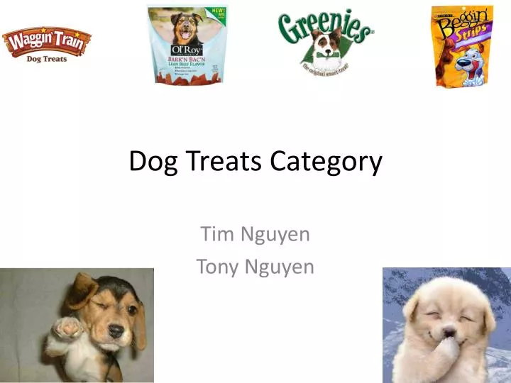 dog treats category