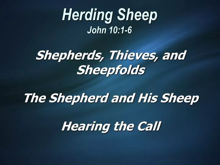 herding sheep john 10 1 6